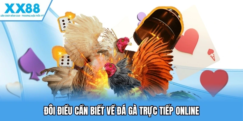 Đôi điều cần biết về đá gà trực tiếp online