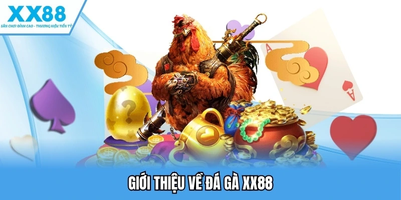 Giới thiệu về đá gà XX88