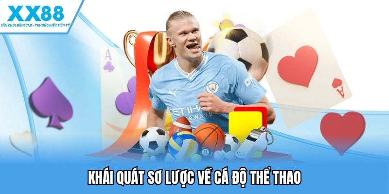 Khái quát sơ lược về cá độ thể thao