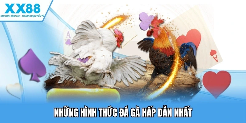 Những hình thức đá gà hấp dẫn nhất