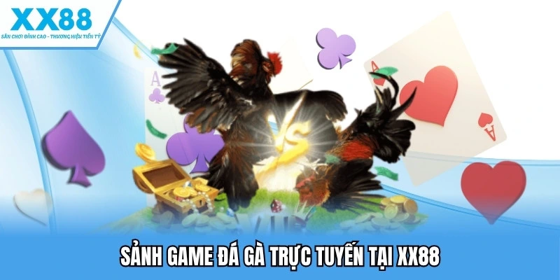 Sảnh game đá gà trực tuyến tại XX88
