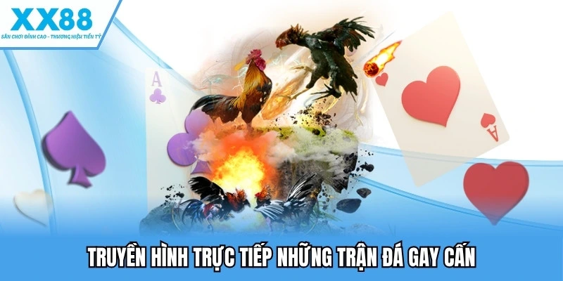 Truyền hình trực tiếp những trận đá gay cấn