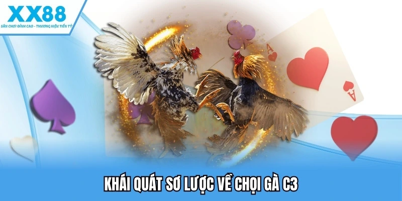Khái quát sơ lược về chọi gà C3