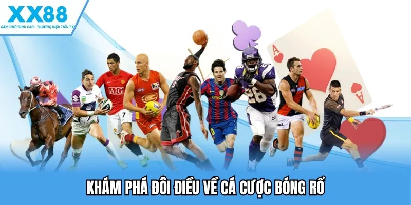 Khám phá đôi điều về cá cược bóng rổ