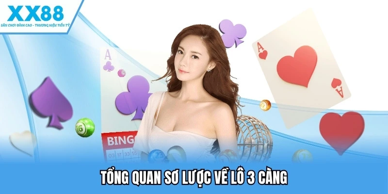 Tổng quan sơ lược về lô 3 càng